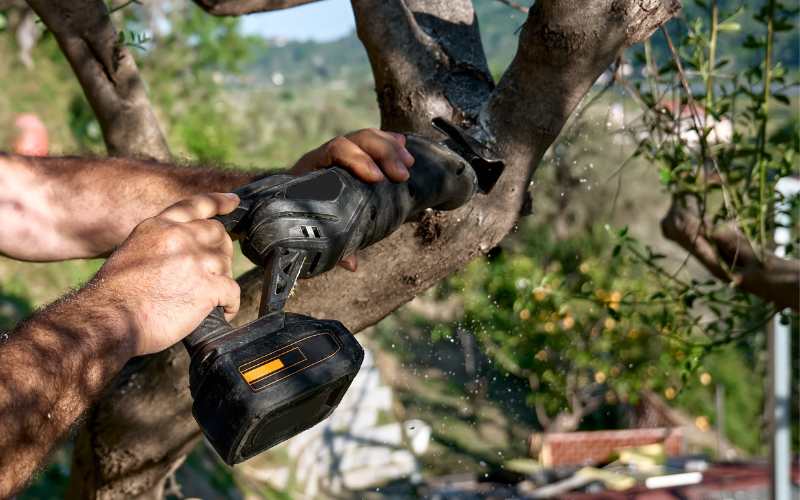 pruning tree with reciprocating saw
