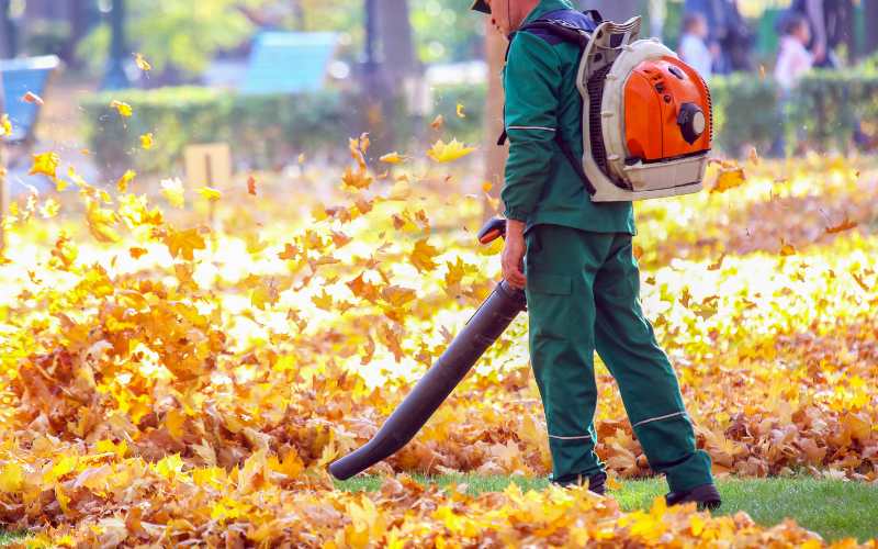 backpack leaf blower features to consider