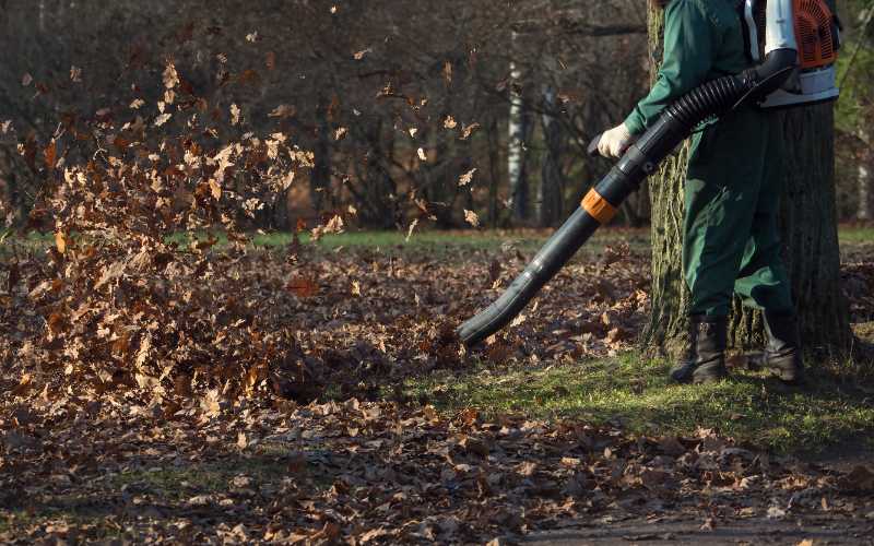 the best backpack leaf blowers