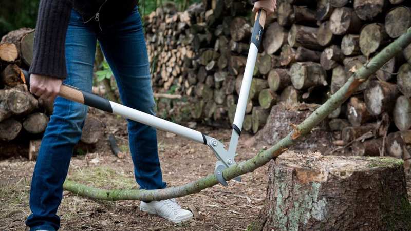 The 10 Best Loppers for Pruning Tree Branches and Twigs