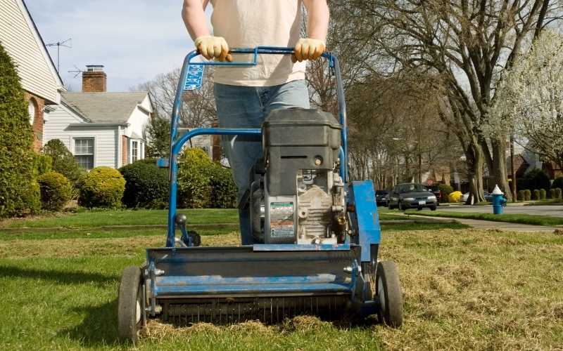 9 Best Lawn Dethatchers in 2023 [Reviews and Guide]