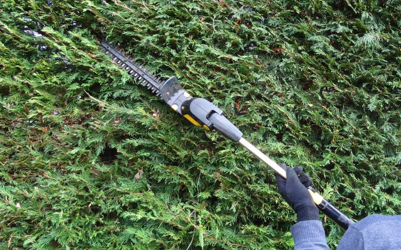 best telescopic hedge trimmer reviews