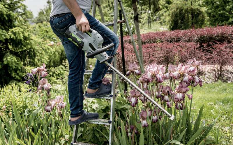 man with hedge trimmer on a ladder