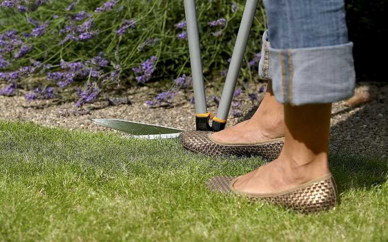 beautify lawn by edging