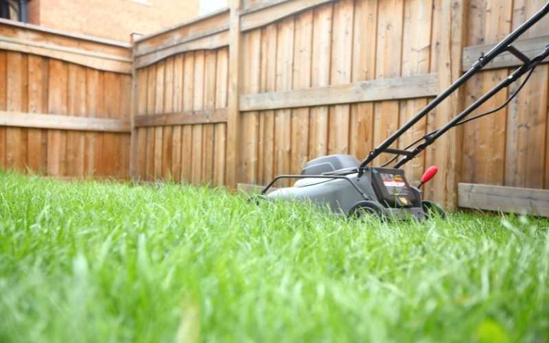 professional lawn mowing tips