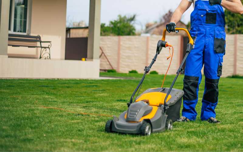 types of lawn mowers