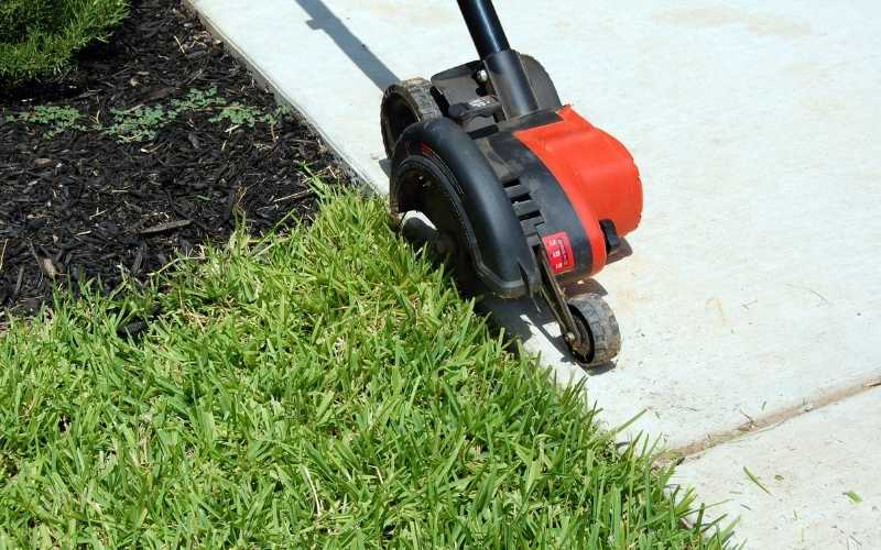 9 Best Landscape Edgers for Lawn and Flower Bed Edging