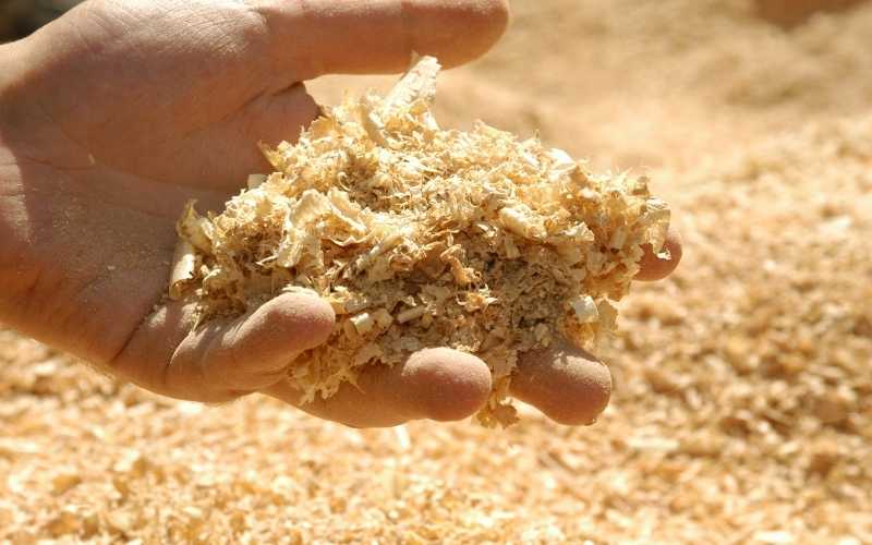 10 Smart Alternative Uses of Sawdust You Should Know