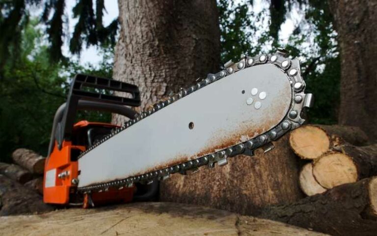 Chainsaw Buying Guide For Beginners