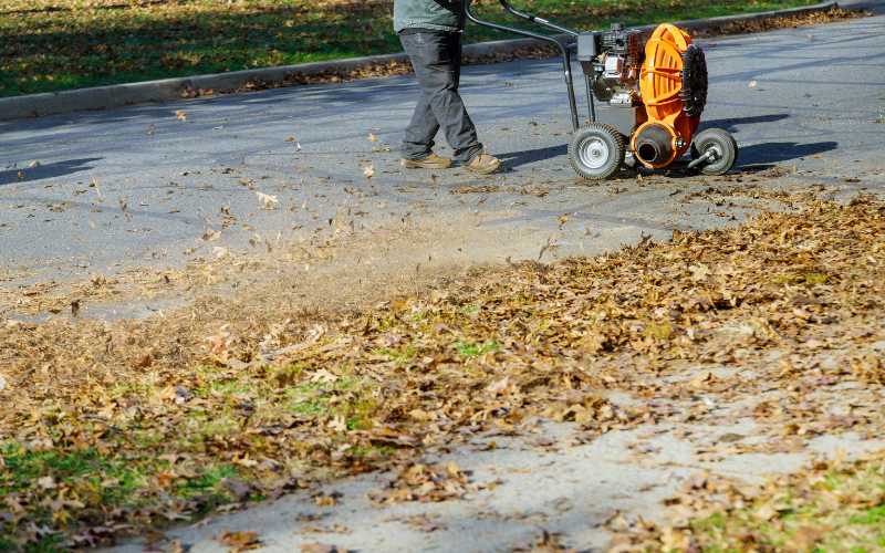 wheeled walk-behind leaf blower
