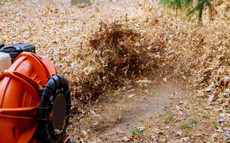 when to use a wheeled leaf blower